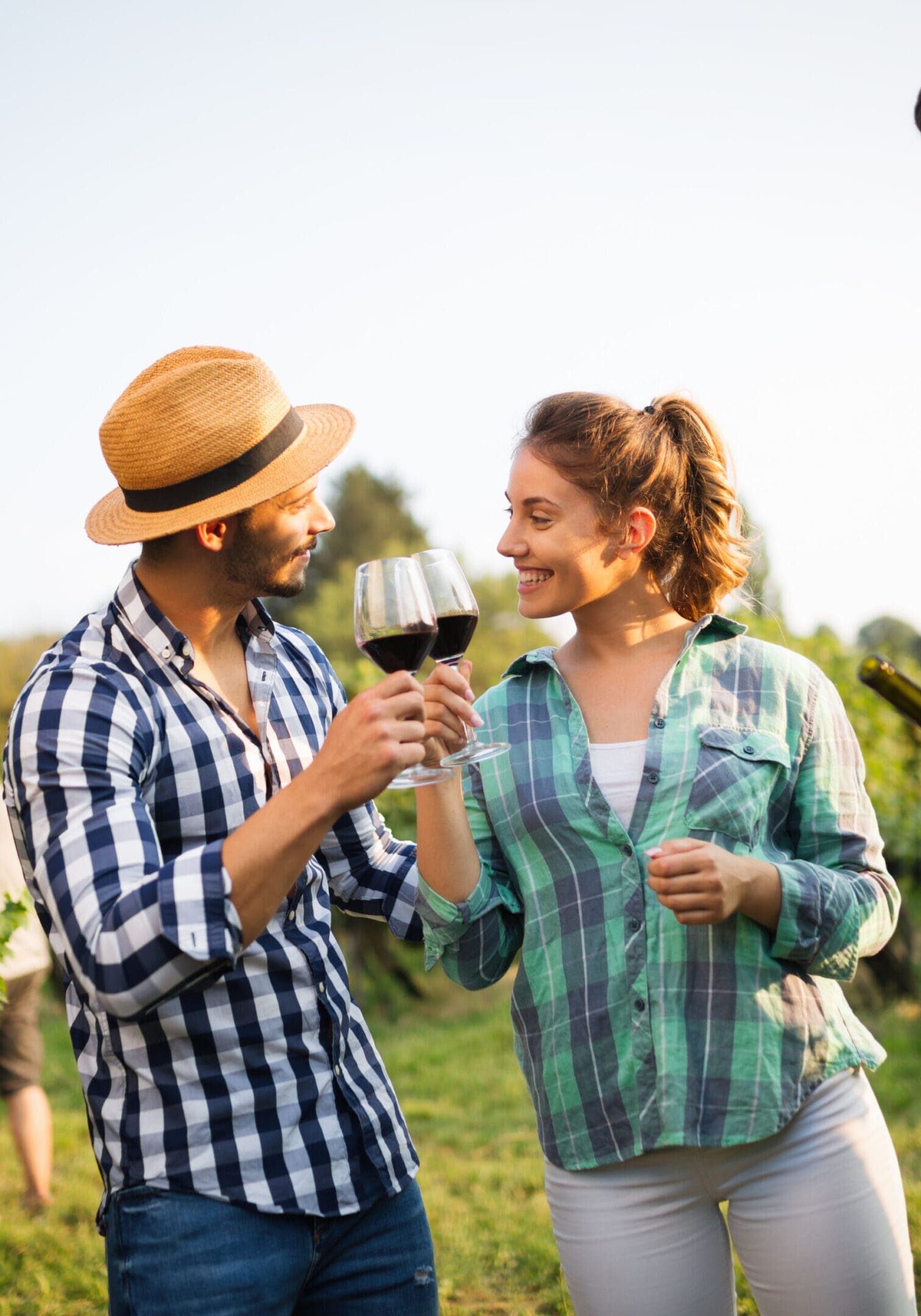 Happy wine tourists tasting wine in vineyard Happy wine tourists tasting wine in vineyard